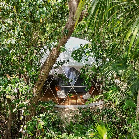 Ku Kuk Glamping Apartment Chemuyil Exterior photo